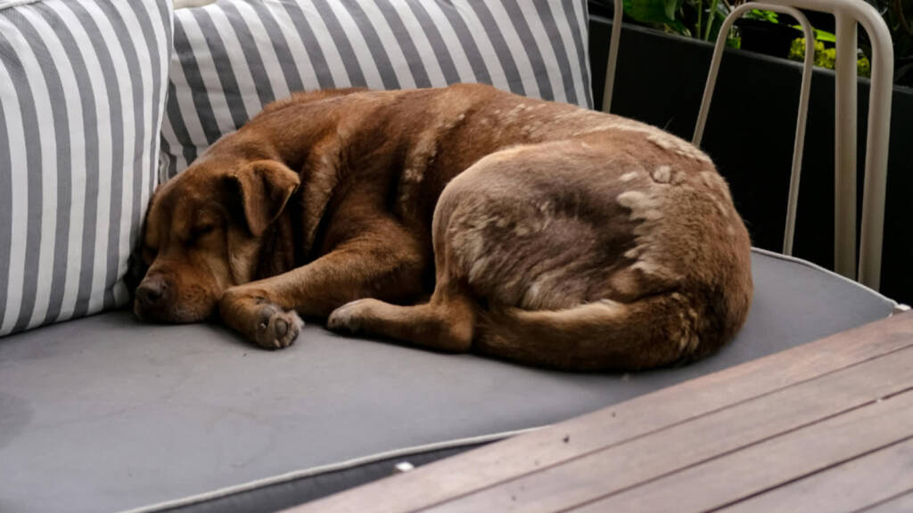 EAttachments933699007a52bece9c02165634034b000999d7d xl