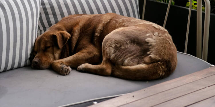 EAttachments933699007a52bece9c02165634034b000999d7d xl