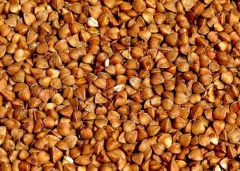 EAttachments9337008d7840d349740b071120072edf8b391ba xl