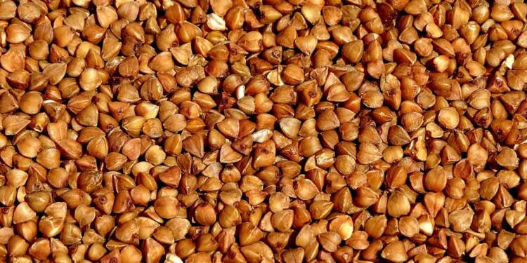 EAttachments9337008d7840d349740b071120072edf8b391ba xl