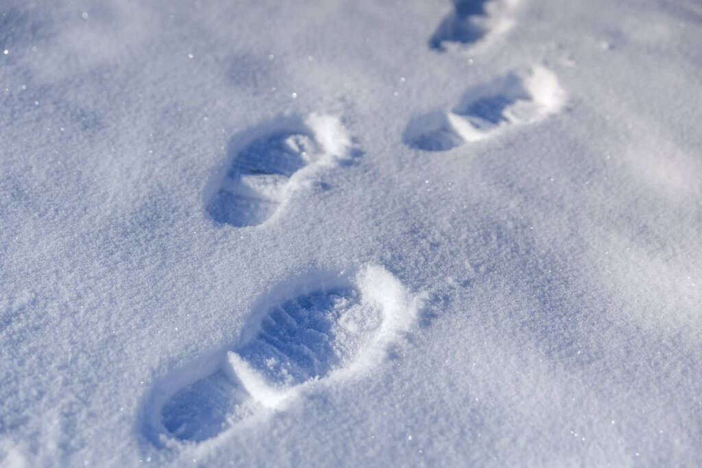 18.02.2026 Czy na pewno? - zima w Polsce a globalne ocieplenie 1 EAttachments9337799fee0251583fc8e7f07a1e90ba3a0565d xl 1