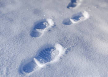 18.02.2026 Czy na pewno? - zima w Polsce a globalne ocieplenie 4 EAttachments9337799fee0251583fc8e7f07a1e90ba3a0565d xl 1