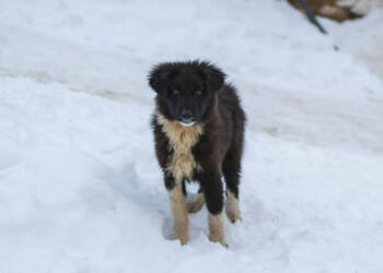 EAttachments93396956933e3ddea82f54e9397ea0cfdf20325 xl 1024x576 1