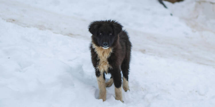 EAttachments93396956933e3ddea82f54e9397ea0cfdf20325 xl