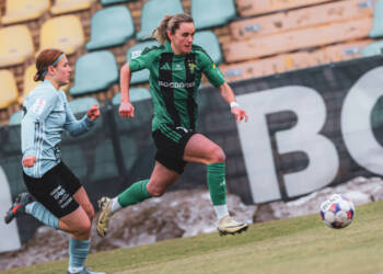 EAttachments9340894591dc3b824768d8f9c812820d0a69c9f xl