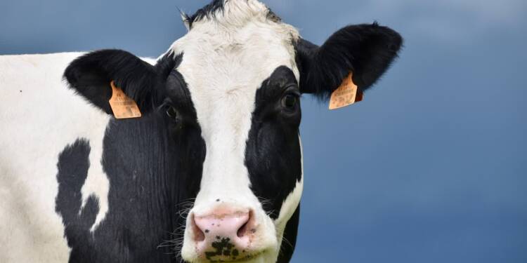 EAttachments9340978828a962730a42e656b511094697be65c xl