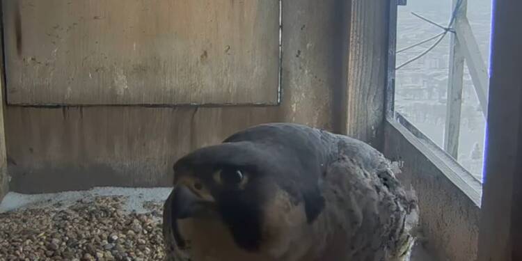 EAttachments9342348215decec988fbd61508ad5f213d8643a xl