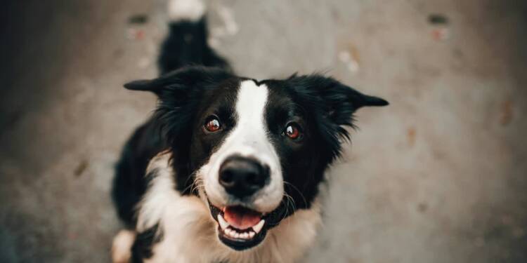 EAttachments93441468a4eb989dd176cf09fdfeb2d03f66ecf xl