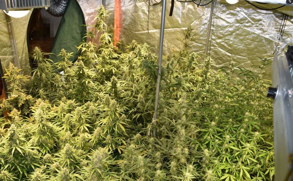 EAttachments93445875cadf3018b9ced97d77c2bcc60640b0e xl