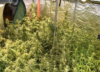 EAttachments93445875cadf3018b9ced97d77c2bcc60640b0e xl