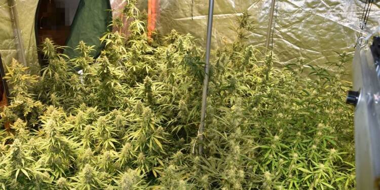 EAttachments93445875cadf3018b9ced97d77c2bcc60640b0e xl