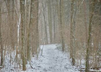 EAttachments9346300162022e7ba7c85494b527eb8db0797ce xl