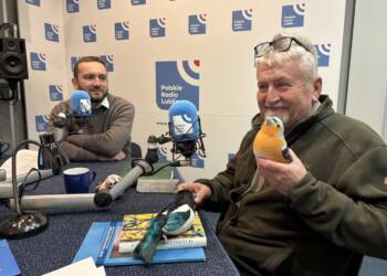 EAttachments93463008b0475c41d45cc3003c13f6f0dbded93 xl