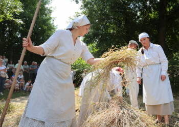 Nie tylko pokazy. Skansen szuka wolontariuszy 2 2025.07.20. LUBLIN . MUZEUM WSI LUBELSKIEJ . TRADYCYJNE ZNIWA . POLE ZBOZE POMIEDZY WIATRAK Z ZYGMUNTOWA , A ZAGRODA Z URZEDOWA . INSCENIZACJA PRACE PRZY KOSZENIE ZBOZA , POSILEK KOSIARZY I PODBIERACZEK ORAZ POKAZ MLOCENIE CEPEM .
FOT. PIOTR MICHALSKI / MUZEUM WSI LUBELSKIEJ
