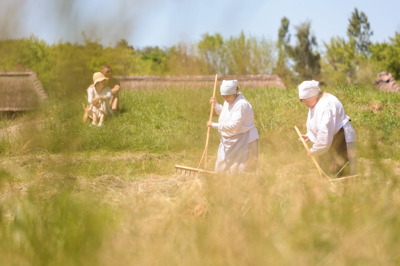 Nie tylko pokazy. Skansen szuka wolontariuszy 2 PMR62231_v1.jpg