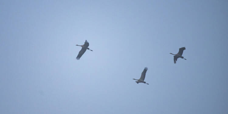 EAttachments9348029f7b5e25579c27f99c4528ef82d3bda33 xl