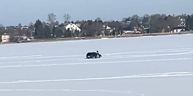 EAttachments9348548f30b02e777f99fd4d8d6eb8db21ab1ea xl 1