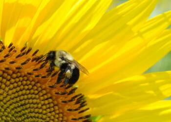 EAttachments9348938dad6c64c44d963b1181122376b5df042 xl