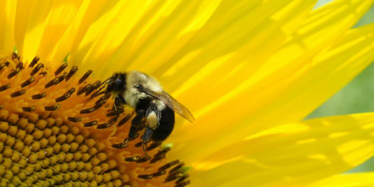 EAttachments9348938dad6c64c44d963b1181122376b5df042 xl