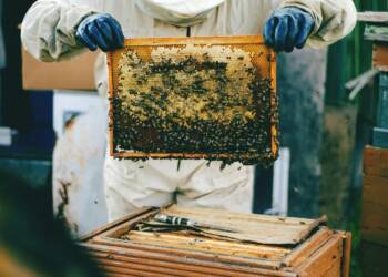 EAttachments93492096aad1fce0a365466bd07e5e4a198afea xl