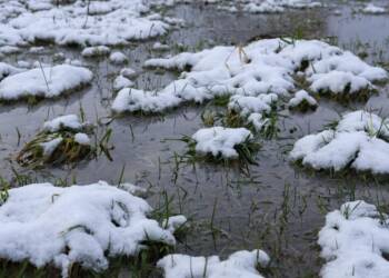 EAttachments93508029878de4aebeb556a40b71d059e31ab97 xl 1024x682 1