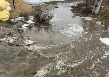 Strażacy na pełnych obrotach. Blisko 40 akcji w związku z topniejącym śniegiem 2 EAttachments93526185d5fc114352166107d237a3bbd2934c7 xl