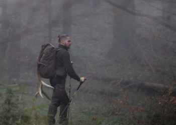 Na straży bezpieczeństwa dzikiej przyrody! Akcja „Wieniec” w Lasach Państwowych 4 EAttachments93558149a5e90a20321c123812890a4da33c32b 1