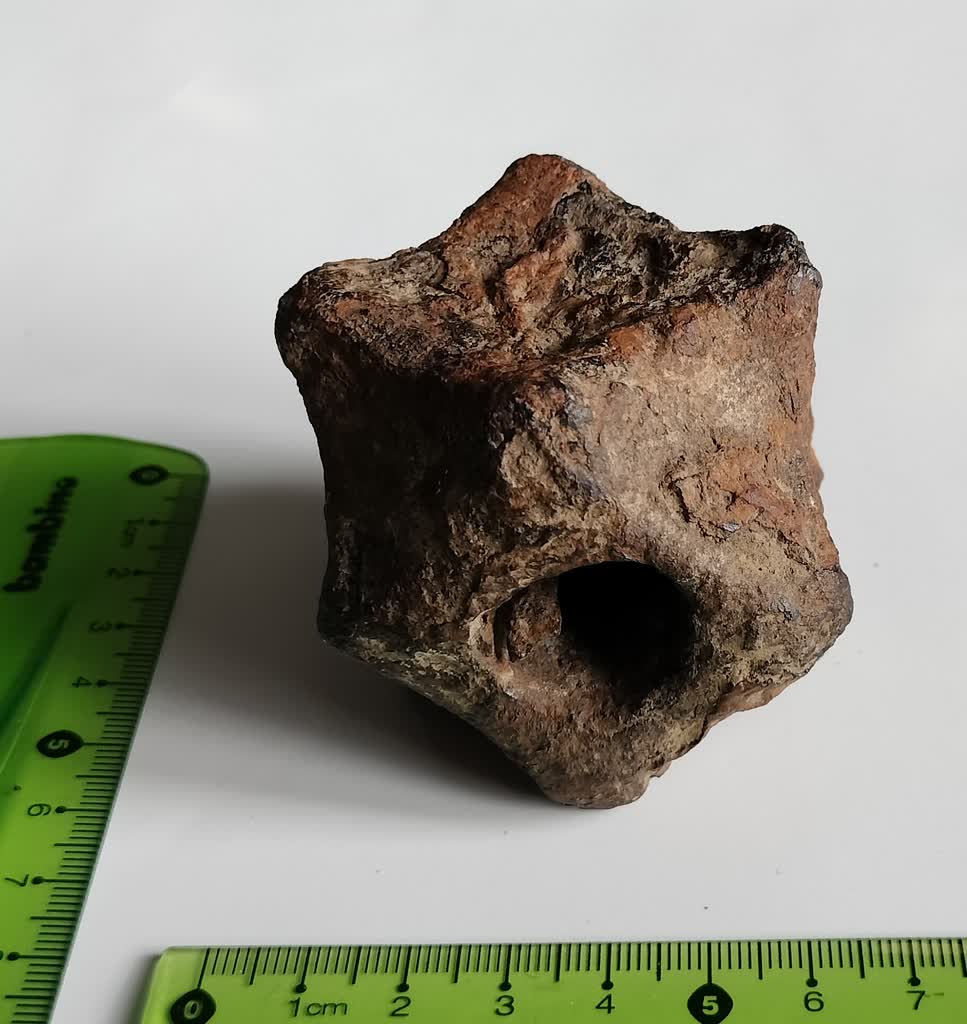 Od Cesarstwa Rzymskiego po XVII wiek. Niezwykłe odkrycia w gminie Skierbieszów 2 643352056_1225886852991655_1339907117941959741_n.jpg