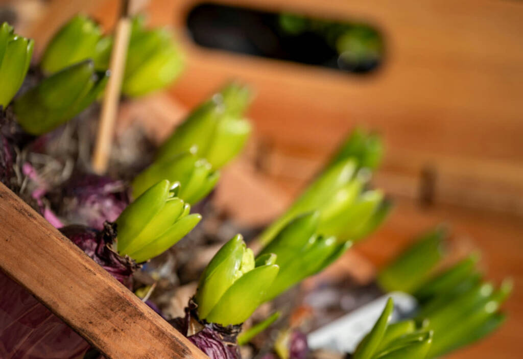 EAttachments93603197f07eff3860cb59cf7d971bddb489283 xl