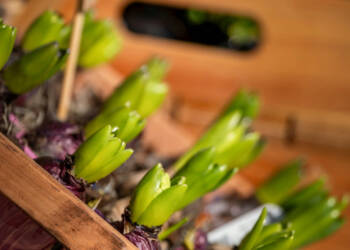 EAttachments93603197f07eff3860cb59cf7d971bddb489283 xl