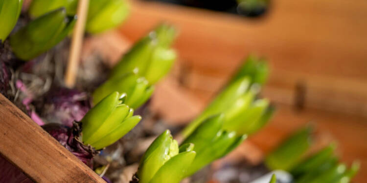 EAttachments93603197f07eff3860cb59cf7d971bddb489283 xl