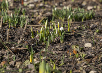 EAttachments93625802742250466856eea0864245150ae68dc xl