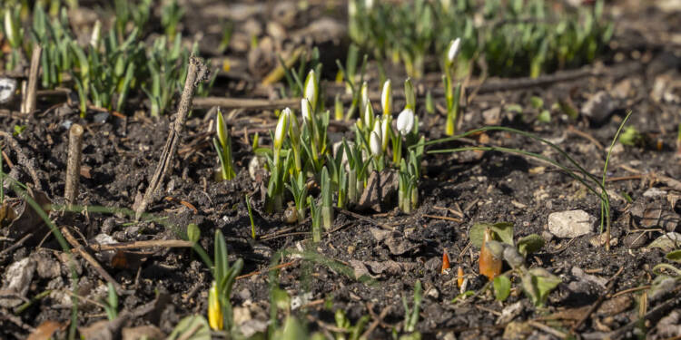 EAttachments93625802742250466856eea0864245150ae68dc xl