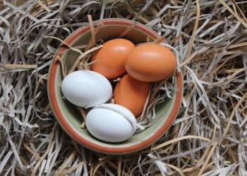 EAttachments2200153eed25c6aafa4293a81672576f06fcdcd