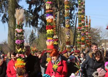 EAttachments2216785287967085d30153ed3d522c64bc1ab93 1