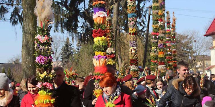 EAttachments2216785287967085d30153ed3d522c64bc1ab93 1