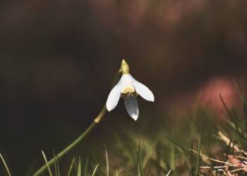 EAttachments69795754d9805d54efd72b45fce2c18ca480749