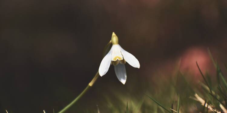 14.03.2026 Leśne wędrowanie 1 EAttachments69795754d9805d54efd72b45fce2c18ca480749