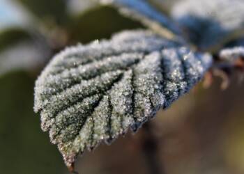 EAttachments789138091afc3bbc12b1e82e15b76ecdc7bf1e9