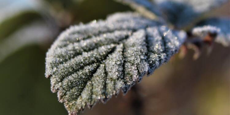 Oddech zimy wiosną. Przymrozki w Lubelskiem, śnieg w Polsce 1 EAttachments789138091afc3bbc12b1e82e15b76ecdc7bf1e9