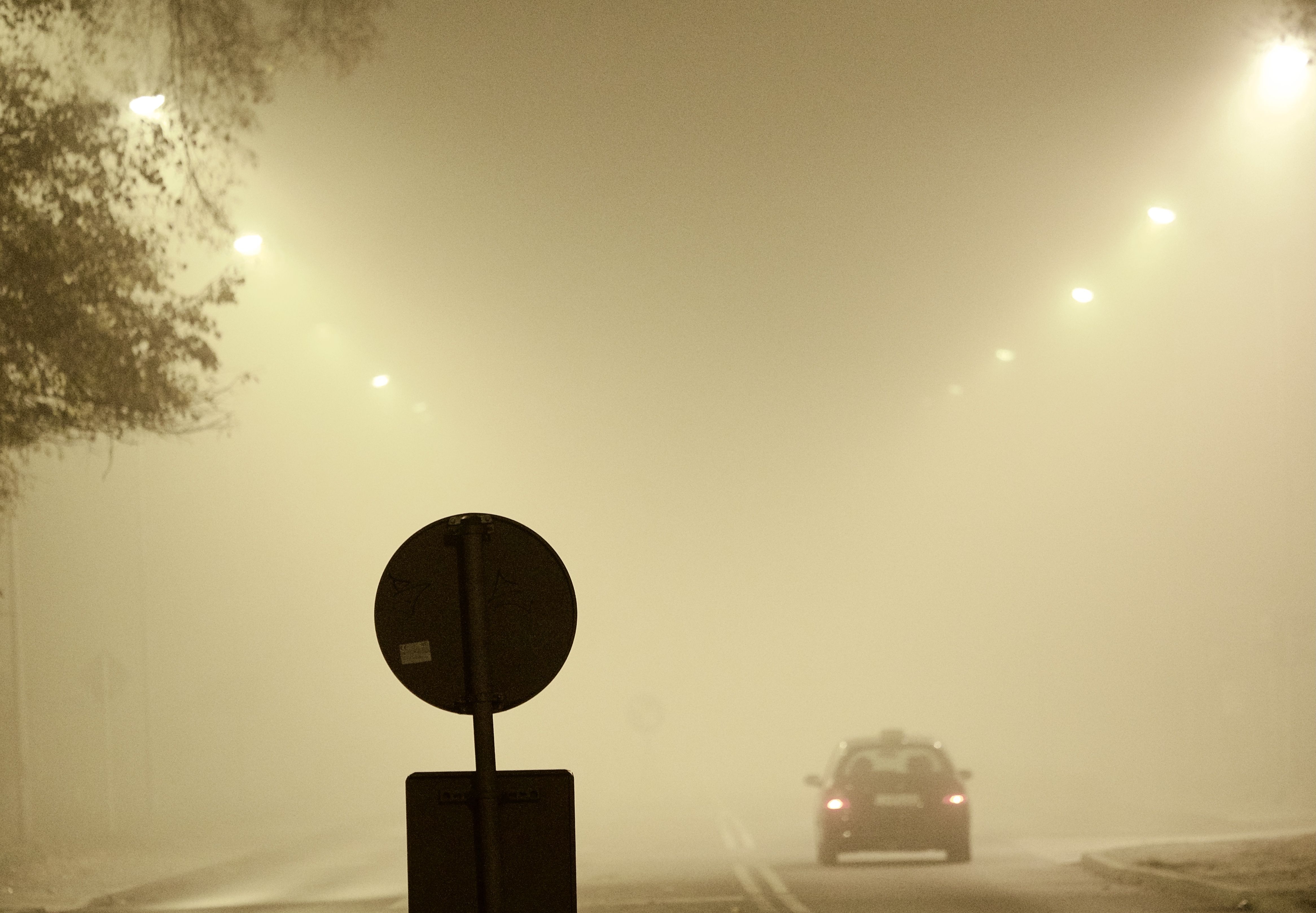 Alerty w części regionu. IMGW ostrzega przed gęstą mgłą