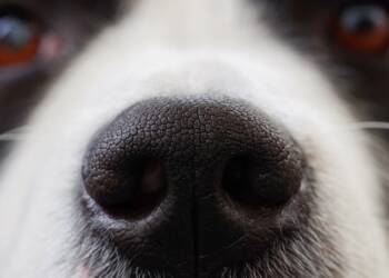 EAttachments8511673d258f4be1dfe3d86fd7426d185e0f807