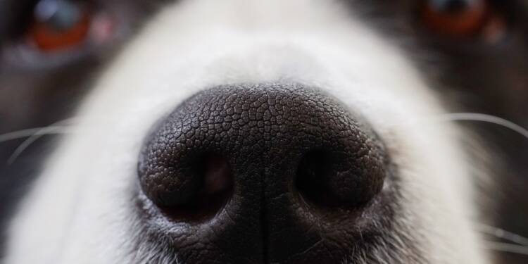 EAttachments8511673d258f4be1dfe3d86fd7426d185e0f807