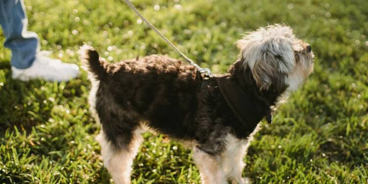 EAttachments868476747c3a281b050913b410307bb59e2caab xl