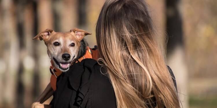 EAttachments87770398e7493f51b5dd33b7104e4d6141f9b49 xl