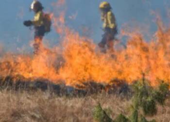 EAttachments89109026536439a3fb0f1c969c15b39aa37effa xl