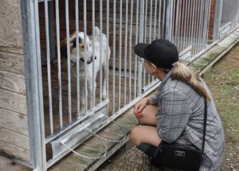 EAttachments899509145a8f07356236673463976875fb354e8 xl