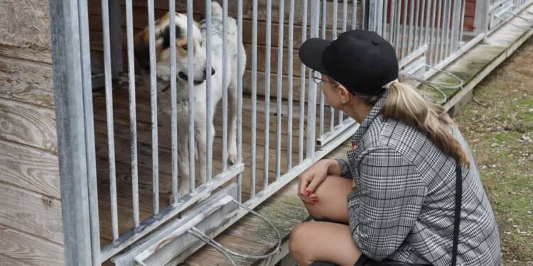 EAttachments899509145a8f07356236673463976875fb354e8 xl