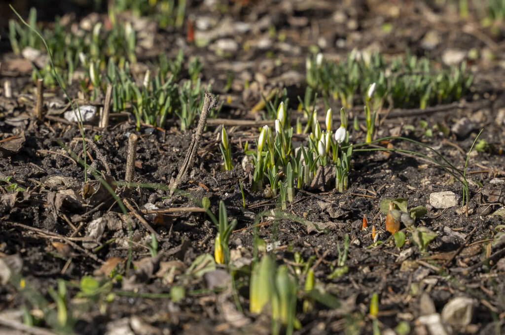 EAttachments936280640a61a767f6cd59f764225bff3ca2b50 xl