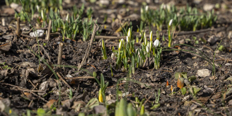 EAttachments936280640a61a767f6cd59f764225bff3ca2b50 xl